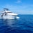 white and blue yacht on sea under blue sky during daytime