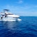 white and blue yacht on sea under blue sky during daytime